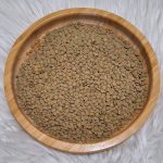 عدس سبز