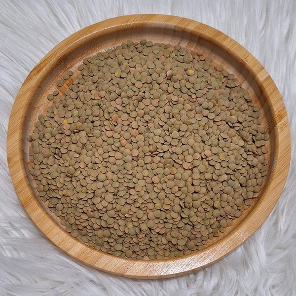 عدس سبز